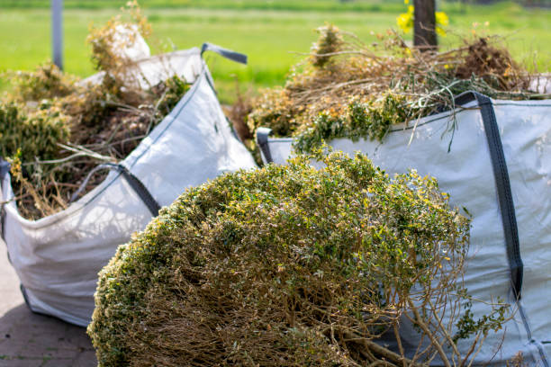 Basement Cleanout Services in Hayti, PA